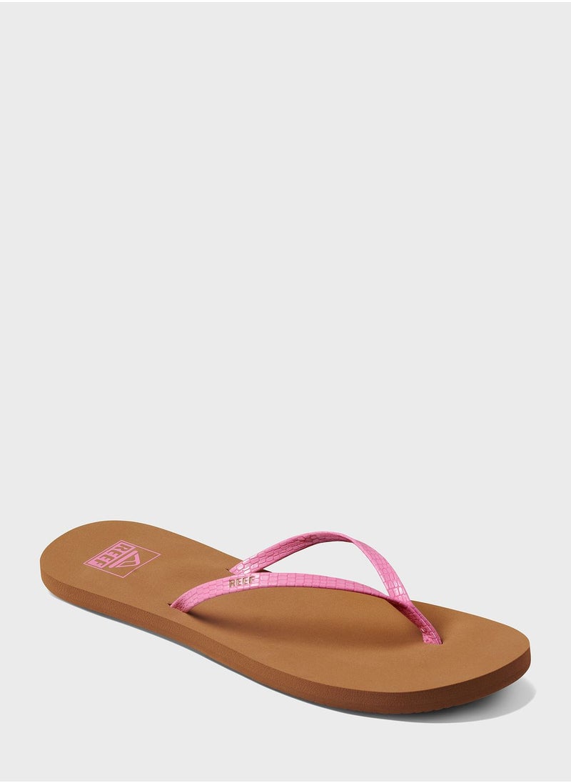 Reef - Bliss Nights - Image 1