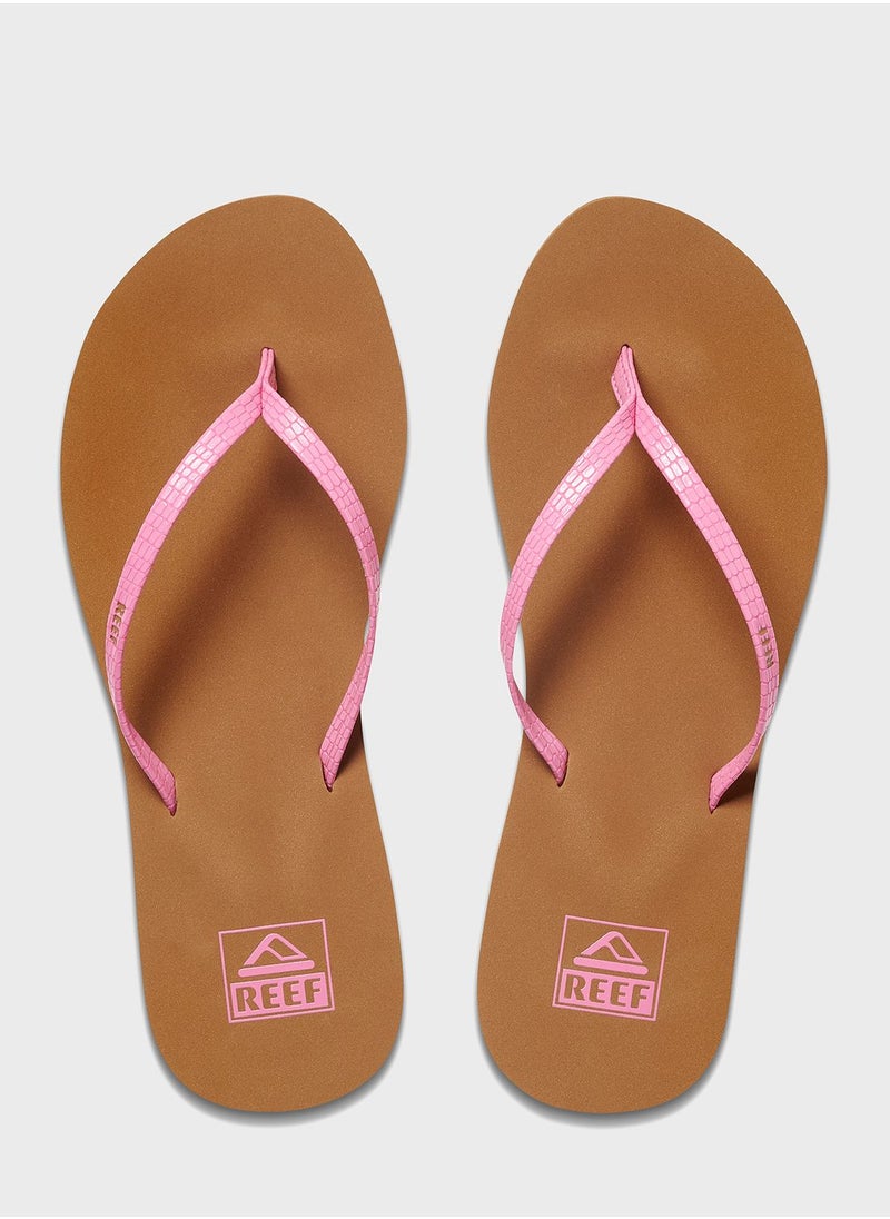 Reef - Bliss Nights - Image 1