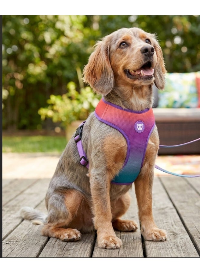 Zee.Dog Wave Air Mesh Plus Harness Large -  Lightweight, Breathable & Comfortable - Image 2