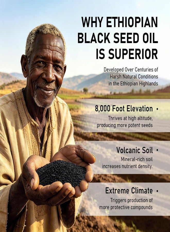 Janxyv Purely Ethiopian Black Seed Oil Capsules, Purely Nutrient Ethiopian Black Seed Oil Capsules 4.64% Thymoquinone, Organic Cold Pressed, Non-GMO, Gluten-Free, 60 Softgels - Image 2