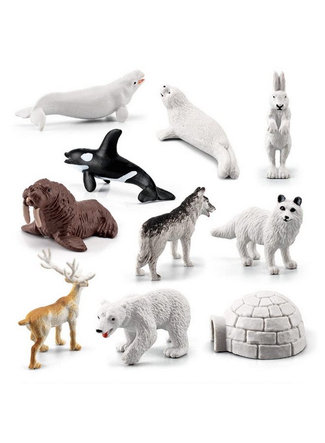 NatureMan 10pcs Arctic Animals Figurines,Mini Arctic Animal Toy Set, Arctic Circle Ocean Sea Animal Figurines Playset for Kids Educational Toys -Cake Toppers - Image 2