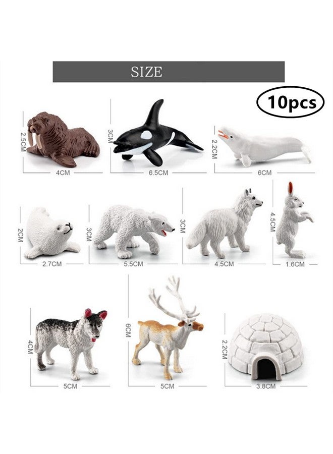 NatureMan 10pcs Arctic Animals Figurines,Mini Arctic Animal Toy Set, Arctic Circle Ocean Sea Animal Figurines Playset for Kids Educational Toys -Cake Toppers - Image 5
