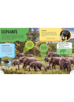 Children's First Encyclopedia: Discover an Amazing World of Knowledge  - Image 3