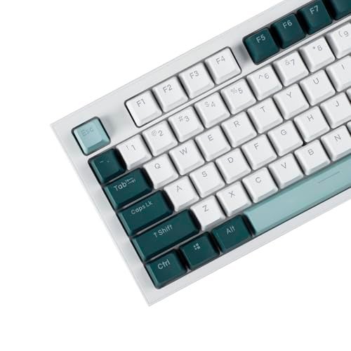 YMDK Double Shot 124 Dyed PBT Shine Through OEM Profile Keycap Rainbow Carbon Sunset Backlit Keycaps for MX Switches Mechanical Keyboard（Only Keycap） (Botanical 124 Key) - Image 5