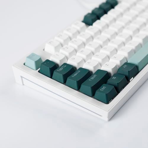 YMDK Double Shot 124 Dyed PBT Shine Through OEM Profile Keycap Rainbow Carbon Sunset Backlit Keycaps for MX Switches Mechanical Keyboard（Only Keycap） (Botanical 124 Key) - Image 4