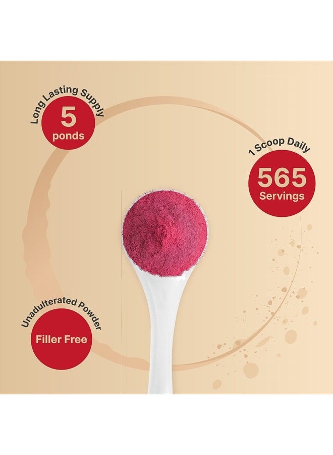 NatureBell Organic Beet Root Powder 5Lbs | 4,000mg Per Serving – Concentrated Whole Beet Root Source | High Dietary Nitrates – Raw Superfood Supplements – Great for Vegan Shakes & Smoothies – Non-GMO - Image 4