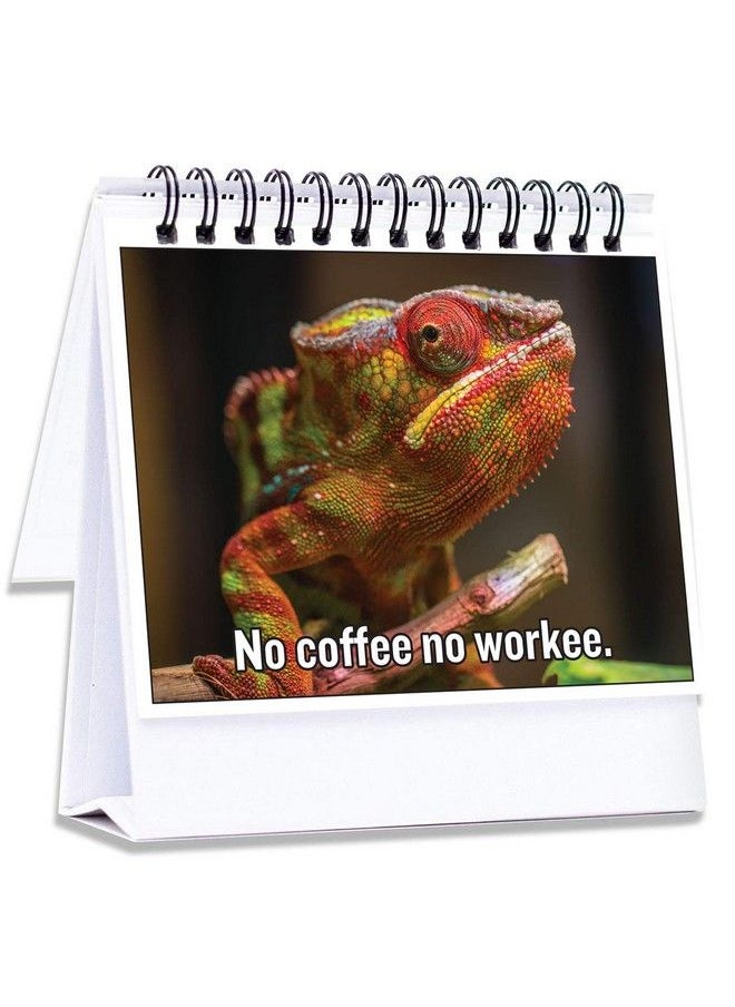 Generic - Funny Office Gifts For Coworkers ; Hilarious Cubicle Accessories Tell Everyone How You Are Feeling ; Perfect Business Gift, Gag Gift, Desk Toy For Office Secret Santa - Image 1