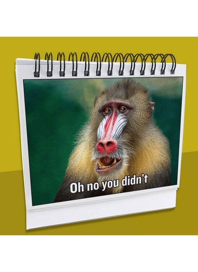 Generic - Funny Office Gifts For Coworkers ; Hilarious Cubicle Accessories Tell Everyone How You Are Feeling ; Perfect Business Gift, Gag Gift, Desk Toy For Office Secret Santa - Image 1