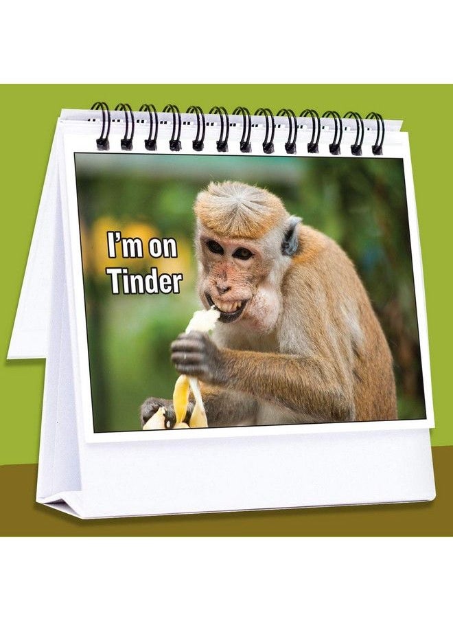 Generic - Funny Office Gifts For Coworkers ; Hilarious Cubicle Accessories Tell Everyone How You Are Feeling ; Perfect Business Gift, Gag Gift, Desk Toy For Office Secret Santa - Image 1