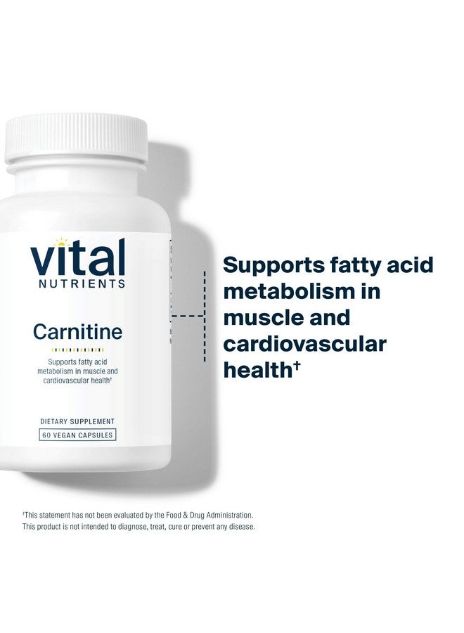 Vital Nutrients Carnitine 500mg | L-Carnitine Supplement for Heart Health Support | Vegan Energy Support Supplement | Gluten, Dairy, Soy Free | Non-GMO | 60 Capsules - Image 3
