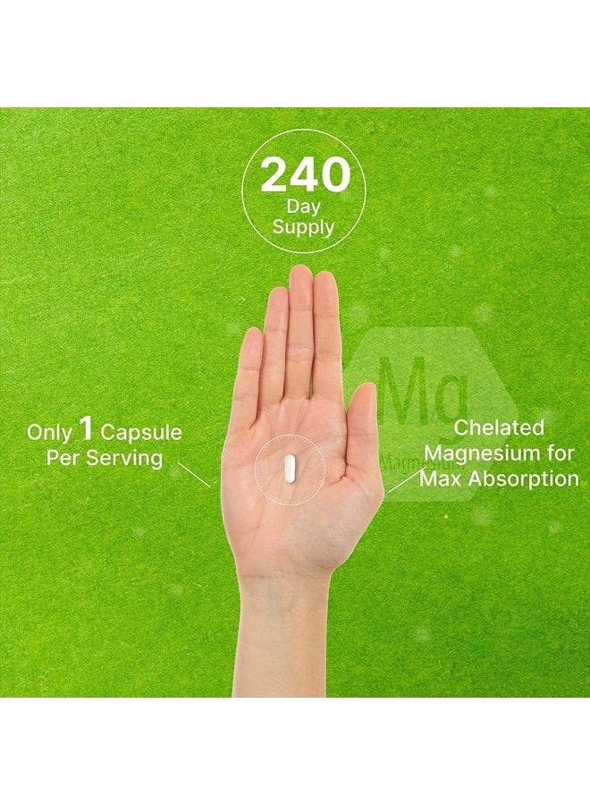 DEAL SUPPLEMENT Magnesium Citrate 500mg, 240 Capsules | Easily Absorbed, Purified Trace Mineral – Muscle, Heart, & Digestive Support – One a Day, Non-GMO - Image 5