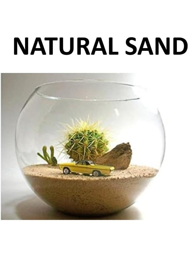Biella 1kg Multi-Purpose Natural Sand - Ideal for Construction, Flooring, Aquariums, Plants, and DIY Projects (WHITE SAND) - Image 3