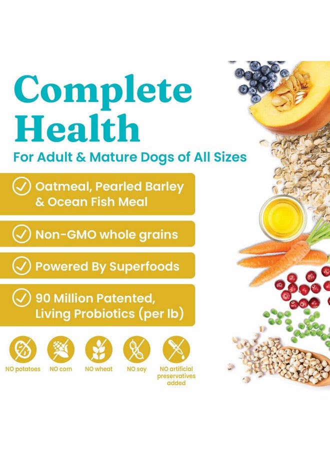 solid gold - Dry Dog Food For Adult & Senior Dogs  Made With Oatmeal, Pearled Barley, And Fish Meal  Holistique Blendz Potato Free High Fiber Dog Food For Sensitive Stomach & Immune Support  4 Lb - Image 1