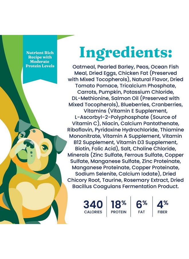 solid gold - Dry Dog Food For Adult & Senior Dogs  Made With Oatmeal, Pearled Barley, And Fish Meal  Holistique Blendz Potato Free High Fiber Dog Food For Sensitive Stomach & Immune Support  4 Lb - Image 1