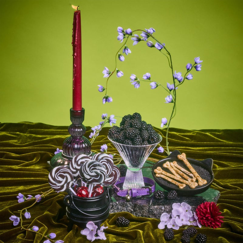 Tree Hut Shea Sugar Scrub Meyow | Exfoliating Body Scrub Removes Dead, Dry Skin for a Soft & Hydrated Feel | Nourishing Essential Body Care | 18 fl oz. - Image 5