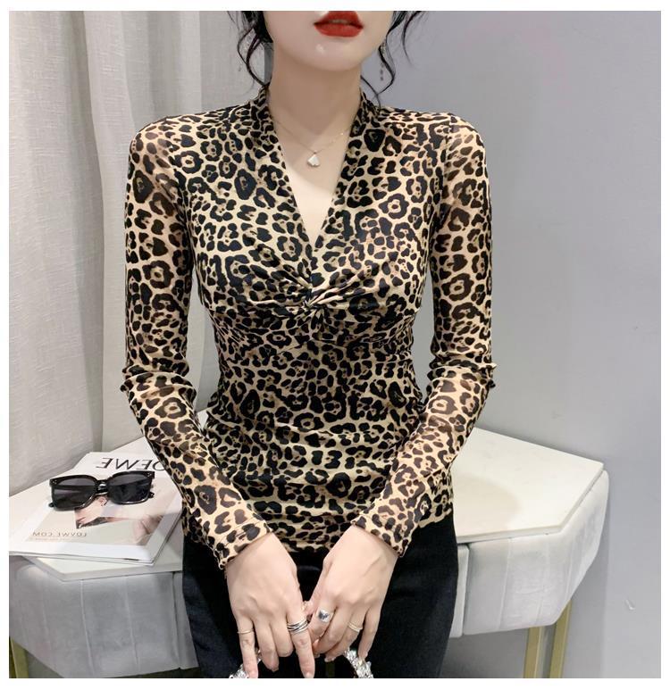 European 2025 Autumn New V-Neck Fashion Printed Mesh Long-Sleeved T-Shirt Slim-Fit Slimming All-Match Base Shirt For Women - Image 1