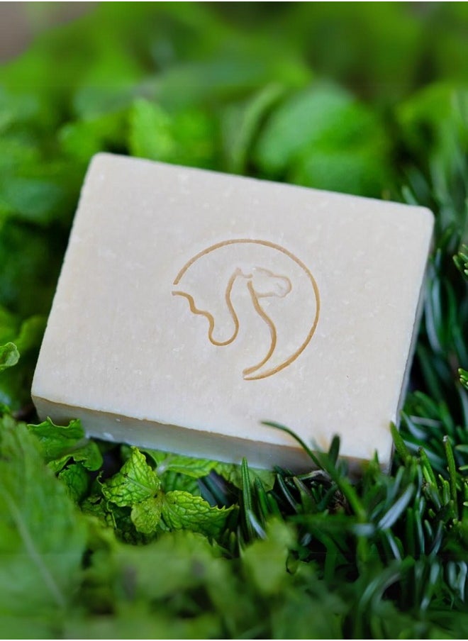 The Camel Soap Factory صابون قشتالة بالروزماري والنعناع 95 جرام  - Image 4