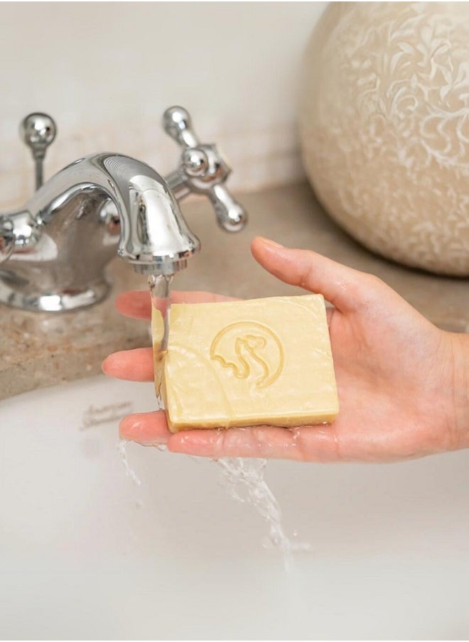 The Camel Soap Factory صابون قشتالة بالروزماري والنعناع 95 جرام  - Image 3