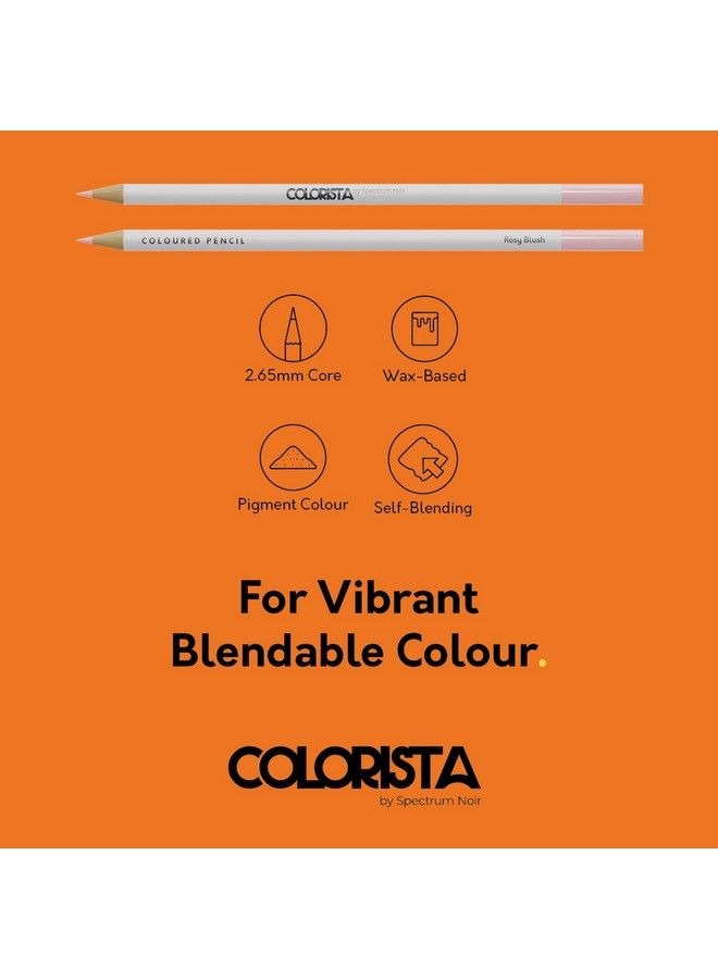 Spectrum Noir Colorista Coloured Pencils Pack Of 12 Perfect Portrait - Image 4