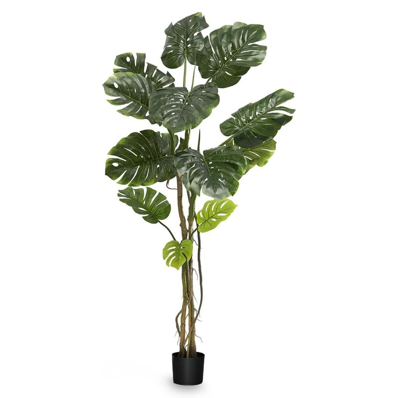 Maia Shop 5ft 11in Artificial Monstera Plant for House Apartment or Office Realistic Fake Indoor Plants for Living Room Bedroom Entryway or Bathroom Faux Greenery for Home Dcor