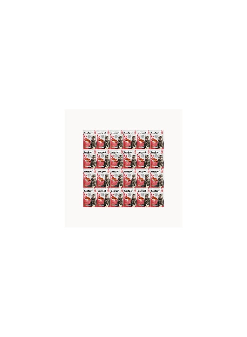 بيست بت بست بت طعام رطب للقطط بنكهة السلمون عرض 72 × 85 جم