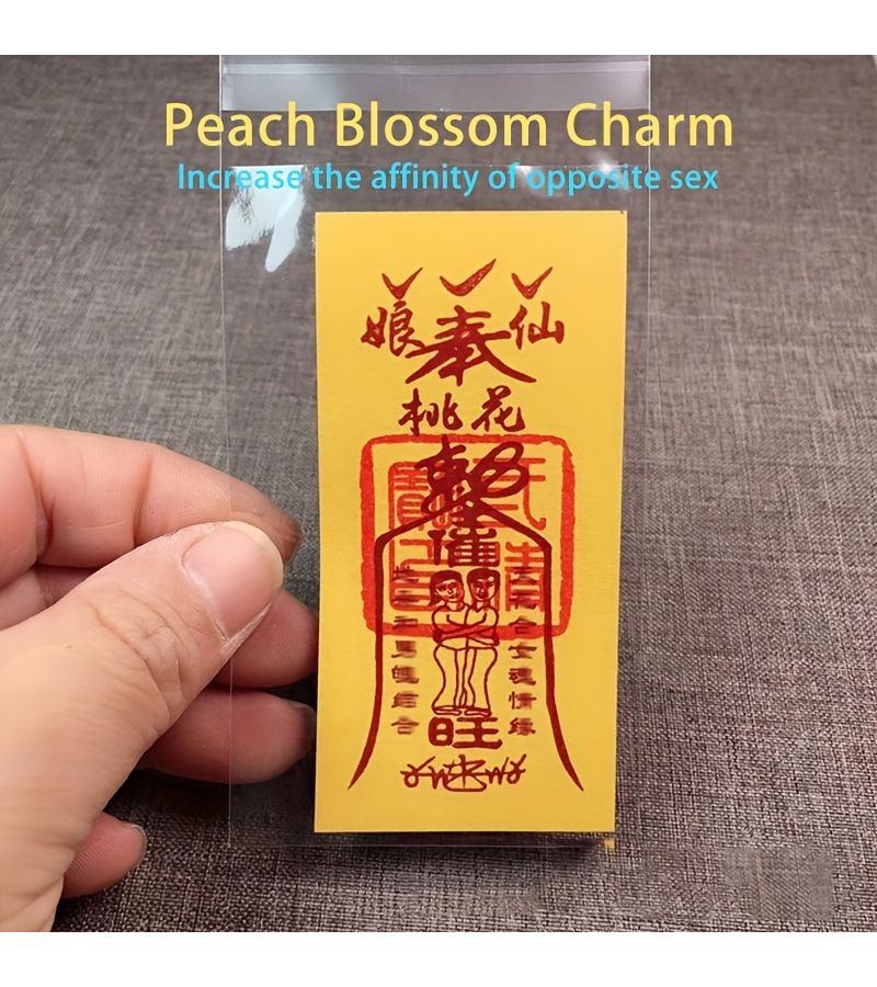 Get Rich Talisman Lucky Charm Protection Amulet for Phone Cases Gift for Friends Family - Image 5