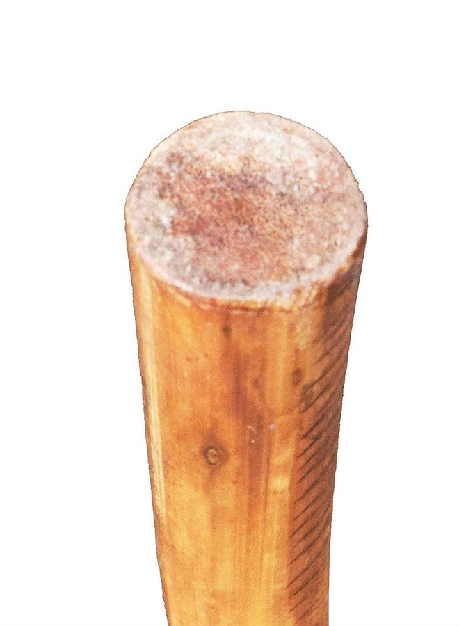 Avika Bamboo Yoga Stick/Jai Yoga Stick/Fit India - 5ft - Image 3