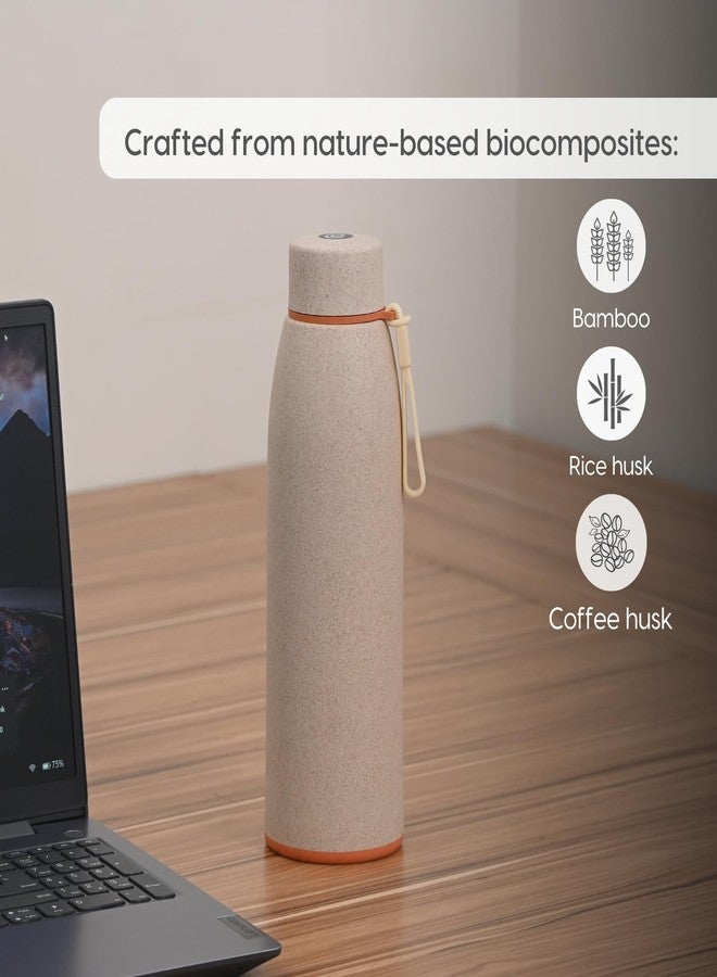 Eha Earth Friendly Motiva Insulated Water Bottle for Office & Schools | 600 ml Stainless Steel Water Bottle for Kids & Adults Made with Rice Husk | Bottle for Men, Women | Leak Proof | 1 Unit - Image 4