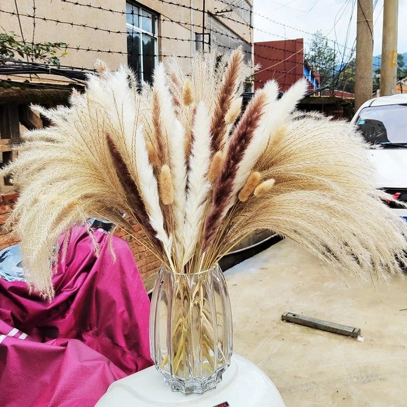Bluejw A-552 Natural Pampas Decor - Fluffy Dried Pampas Grass Bouquet - Boho Home Decor Dried Plants - 45\ Tall
" - Image 4