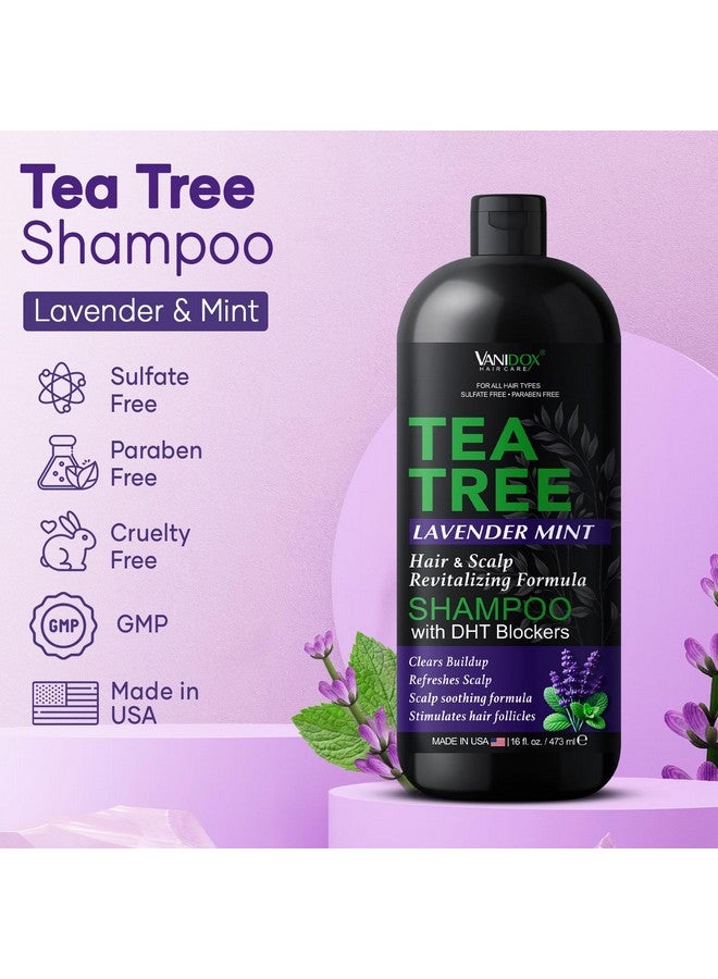 VANIDOX Tea Tree Lavender Mint Shampoo with 100% Pure Tea Tree Oil for Itchy, Dry Scalp - Deep Moisturizing & Cleansing - Sulfate & Paraben Free - Made in USA - 16 fl oz - Image 2