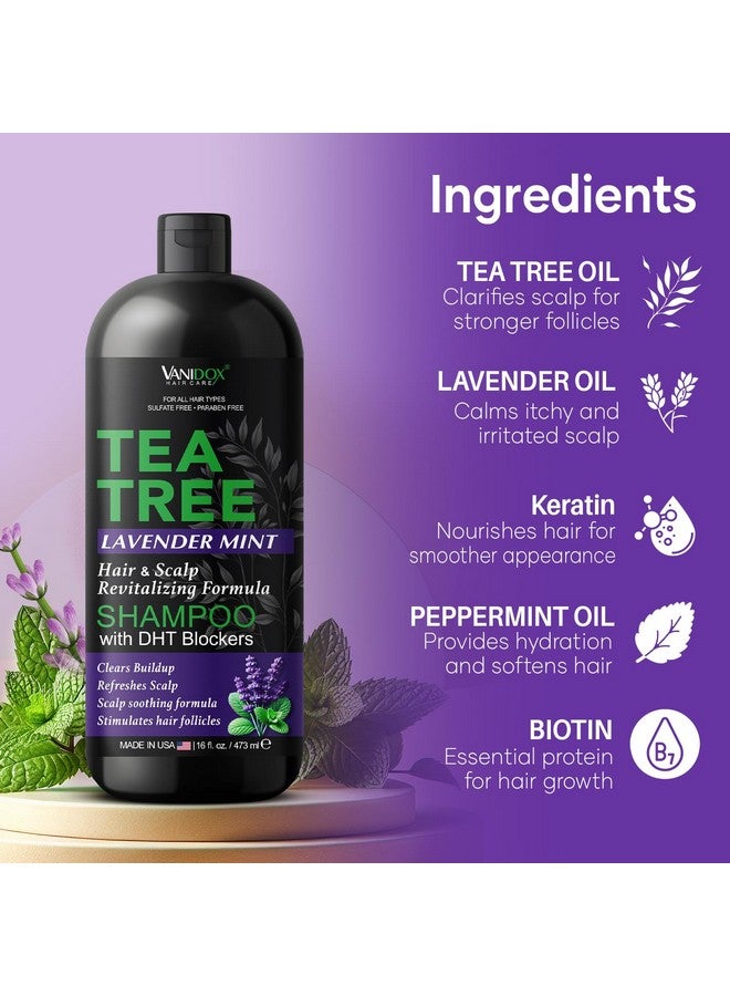 VANIDOX Tea Tree Lavender Mint Shampoo with 100% Pure Tea Tree Oil for Itchy, Dry Scalp - Deep Moisturizing & Cleansing - Sulfate & Paraben Free - Made in USA - 16 fl oz - Image 4