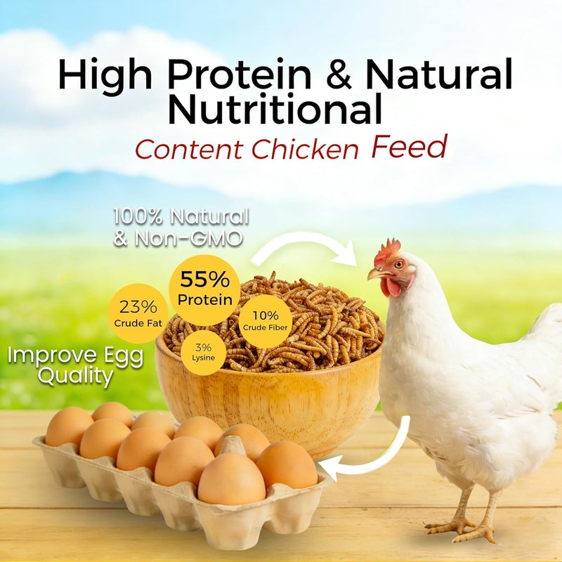 RANZ 2LBS Non-GMO Dried Mealworms for Chickens, High Protein Meal Worms, Premium Chicken Feed, Whole Large Mealworms for Blue Birds, Ducks, Fish - Image 3