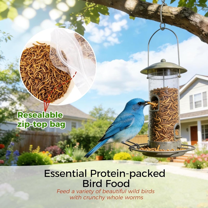 RANZ 2LBS Non-GMO Dried Mealworms for Chickens, High Protein Meal Worms, Premium Chicken Feed, Whole Large Mealworms for Blue Birds, Ducks, Fish - Image 5