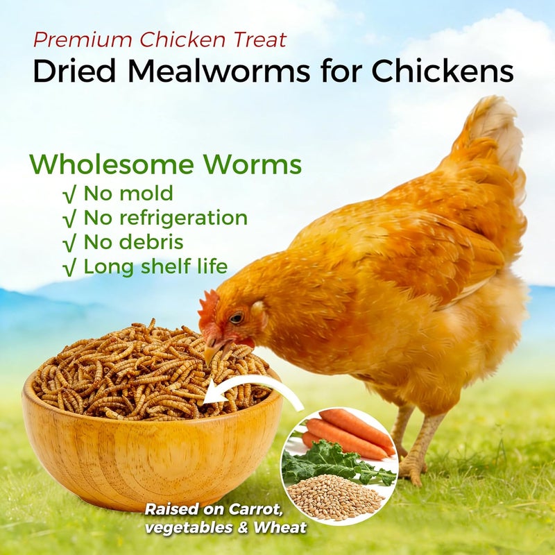 RANZ 2LBS Non-GMO Dried Mealworms for Chickens, High Protein Meal Worms, Premium Chicken Feed, Whole Large Mealworms for Blue Birds, Ducks, Fish - Image 2