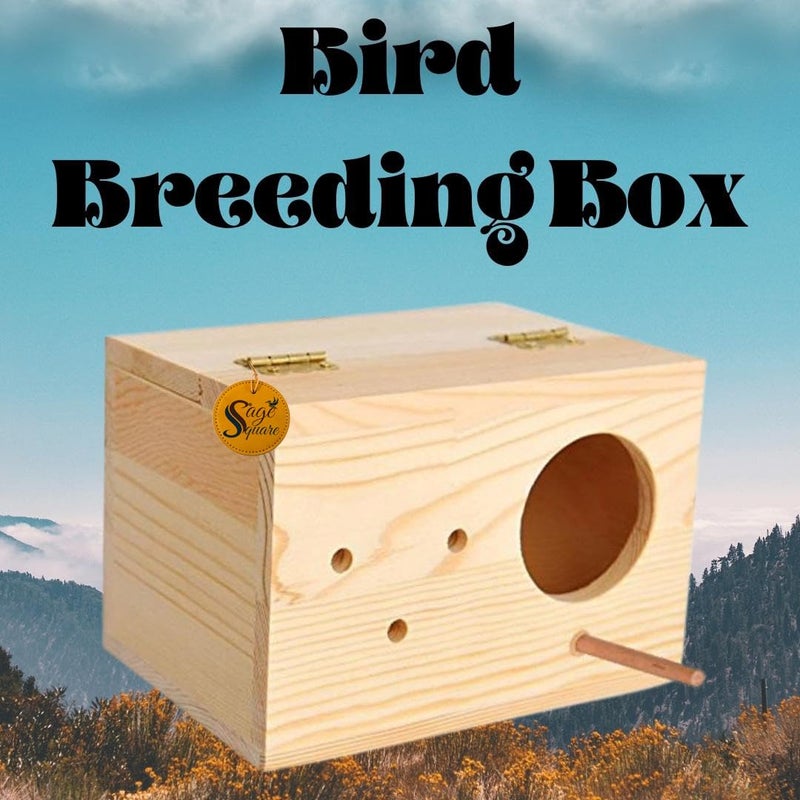 Sage Square Jumbo Size Natural Wood Mountable Nest Cum Breeding Box with Perch Attached (Design for Medium Size Birds) - Image 1