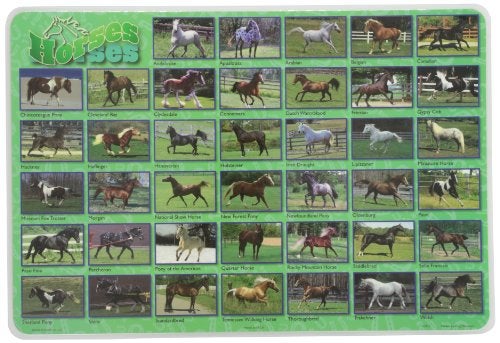 Painless Learning Popular Horses Placemat - Image 5