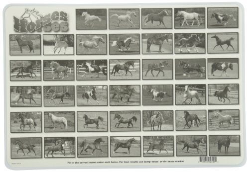 Painless Learning Popular Horses Placemat - Image 2