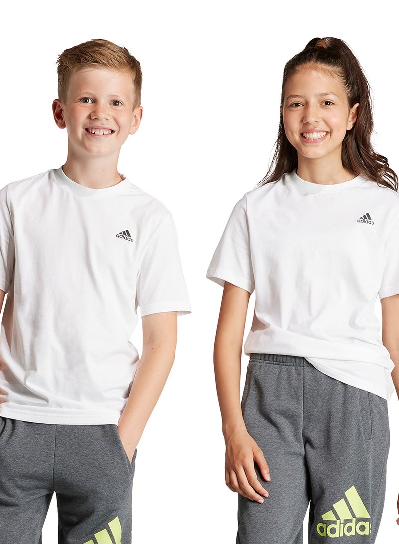 Adidas تي شيرت بشعار صغير - Image 1