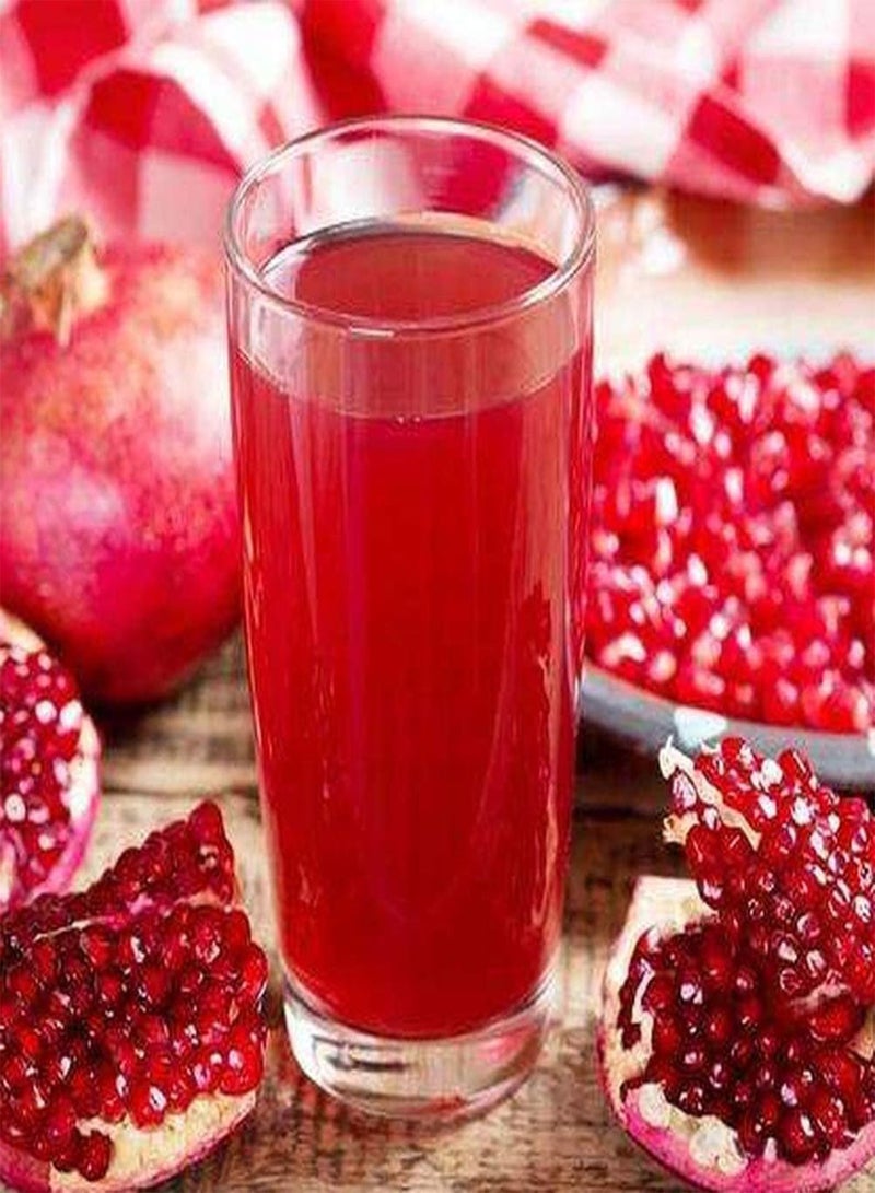 GGOOT 200pcs Pomegranate Seeds Red Pulp Ornamental Crops Special Colors and Strong Adaptability to Indoor and Outdoor Planting - Image 3