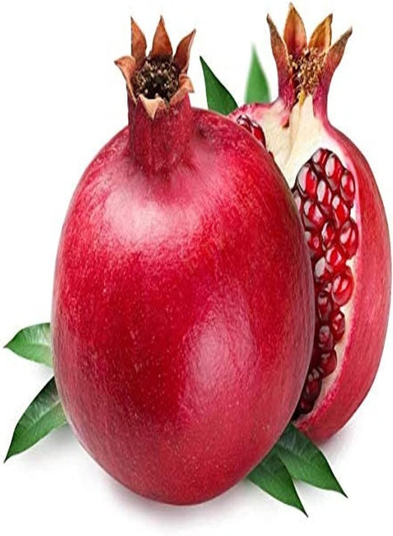 GGOOT 200pcs Pomegranate Seeds Red Pulp Ornamental Crops Special Colors and Strong Adaptability to Indoor and Outdoor Planting - Image 1