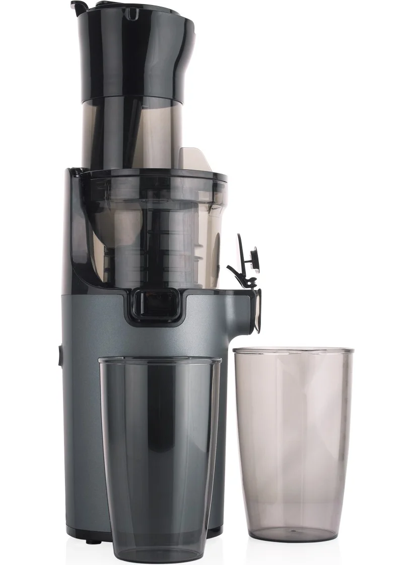 Schafer Slow Star Vegetable and Fruit Juicer-Anthracite