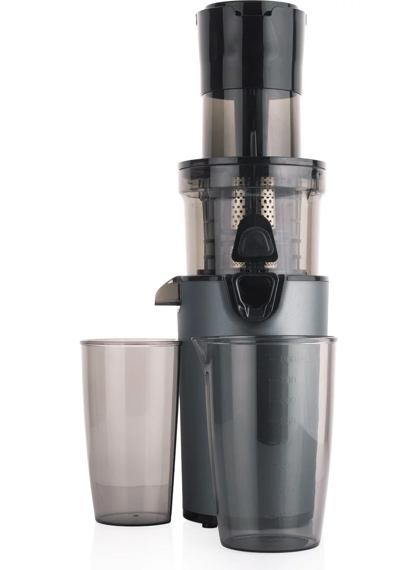 Schafer Slow Star Vegetable and Fruit Juicer-Anthracite