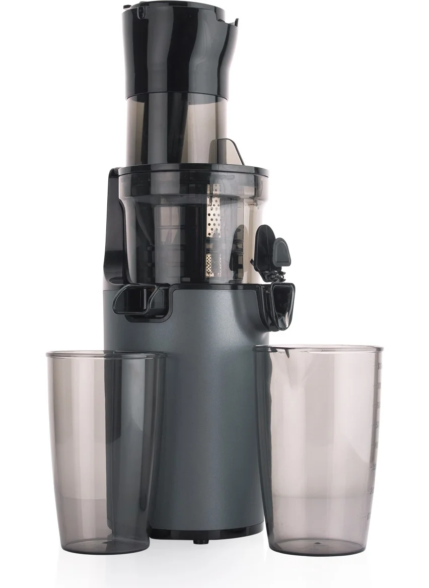 Schafer Slow Star Vegetable and Fruit Juicer-Anthracite