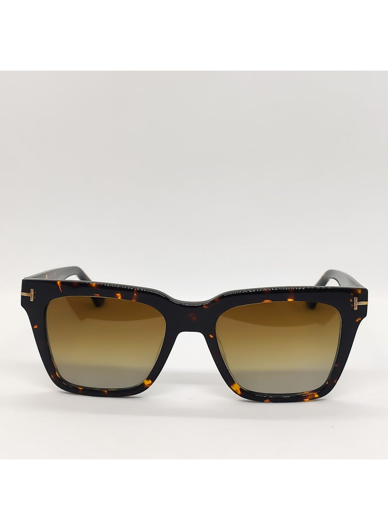 IVILARA SQM5912 Polarized IVILARA Women Sunglasses (Brown) - Image 3