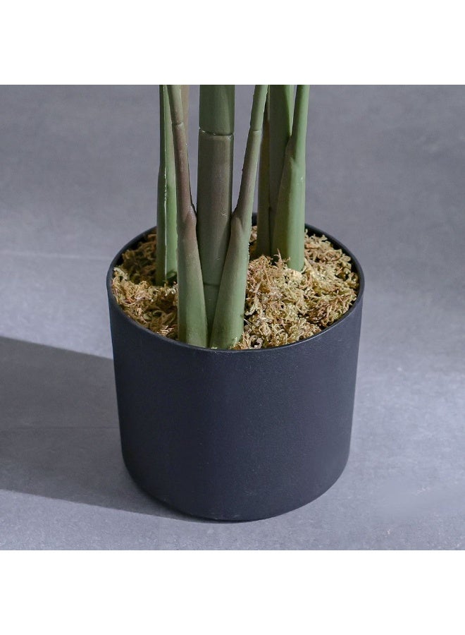 DANUBE HOME Paradise Bird Plant – 145 cm Artificial Green Decorative Plant – Tropical Indoor or Outdoor Decor for Living Room, Balcony or Events – Realistic & Maintenance-Free 231202708336 - Image 3