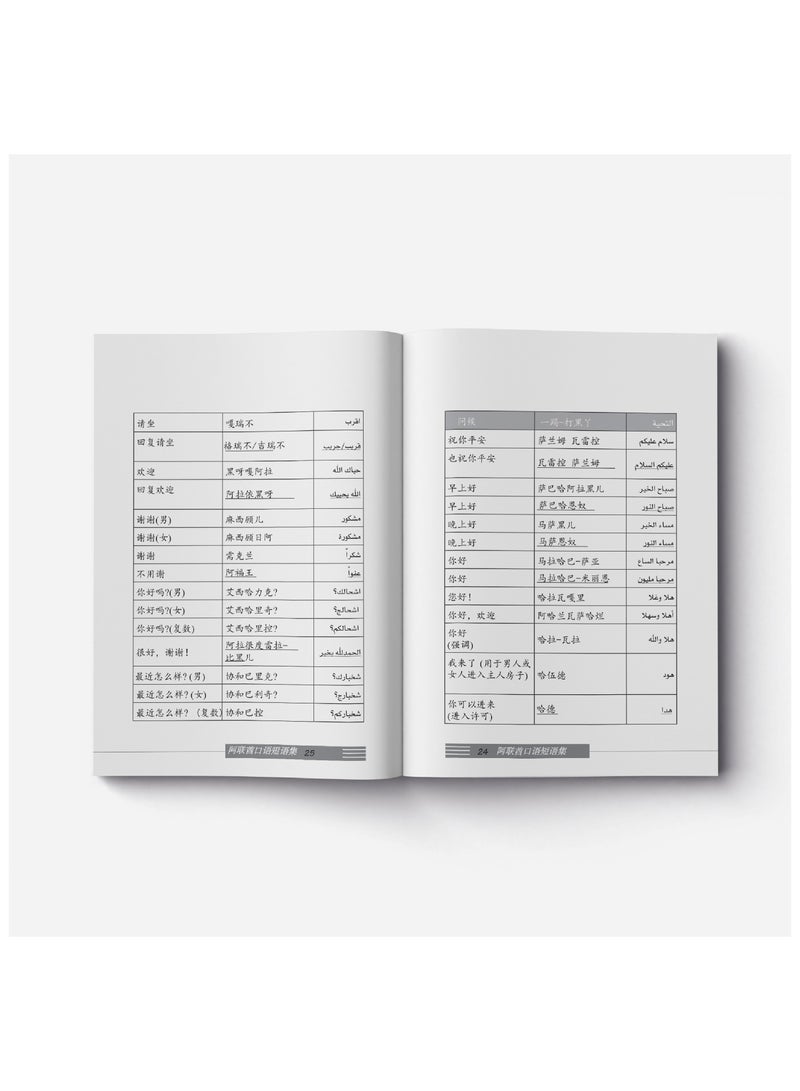 Spoken Emirati Phrasebook - Chinese - Image 4