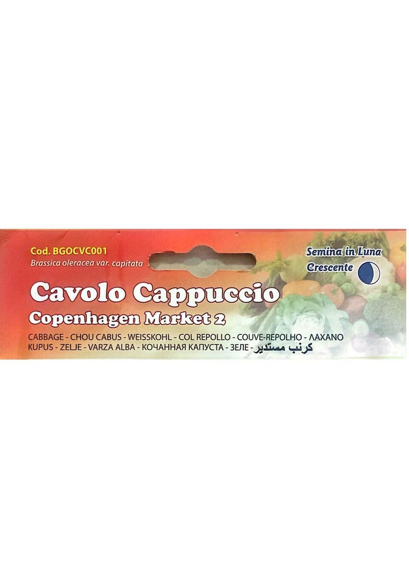 Buona Luna Cavolo Cappuccio Seeds  - Image 3