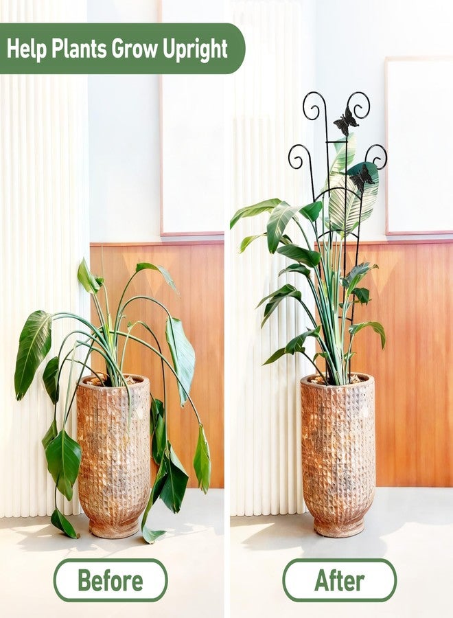 Xeeol 30'' Larger Plant Trellis Indoor, Expandable Metal Trellis for Climbing Plants Indoor, House Plant Climbing Support for Monstera Hoya Pothos, 2P - Image 3