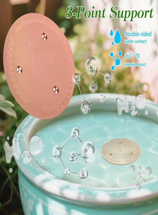 SONSIL Bird Bath Copper Disk, Sturdy 1mm 99.9% Pure Copper Disk, Triple-Point Support Ensures Clean Water Year-Round, Fits Most Outdoor Birdbath Bowls (1) - Image 5
