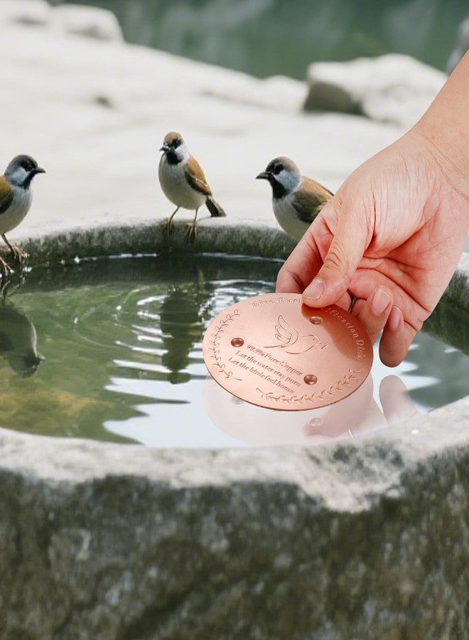 SONSIL Bird Bath Copper Disk, Sturdy 1mm 99.9% Pure Copper Disk, Triple-Point Support Ensures Clean Water Year-Round, Fits Most Outdoor Birdbath Bowls (1) - Image 4